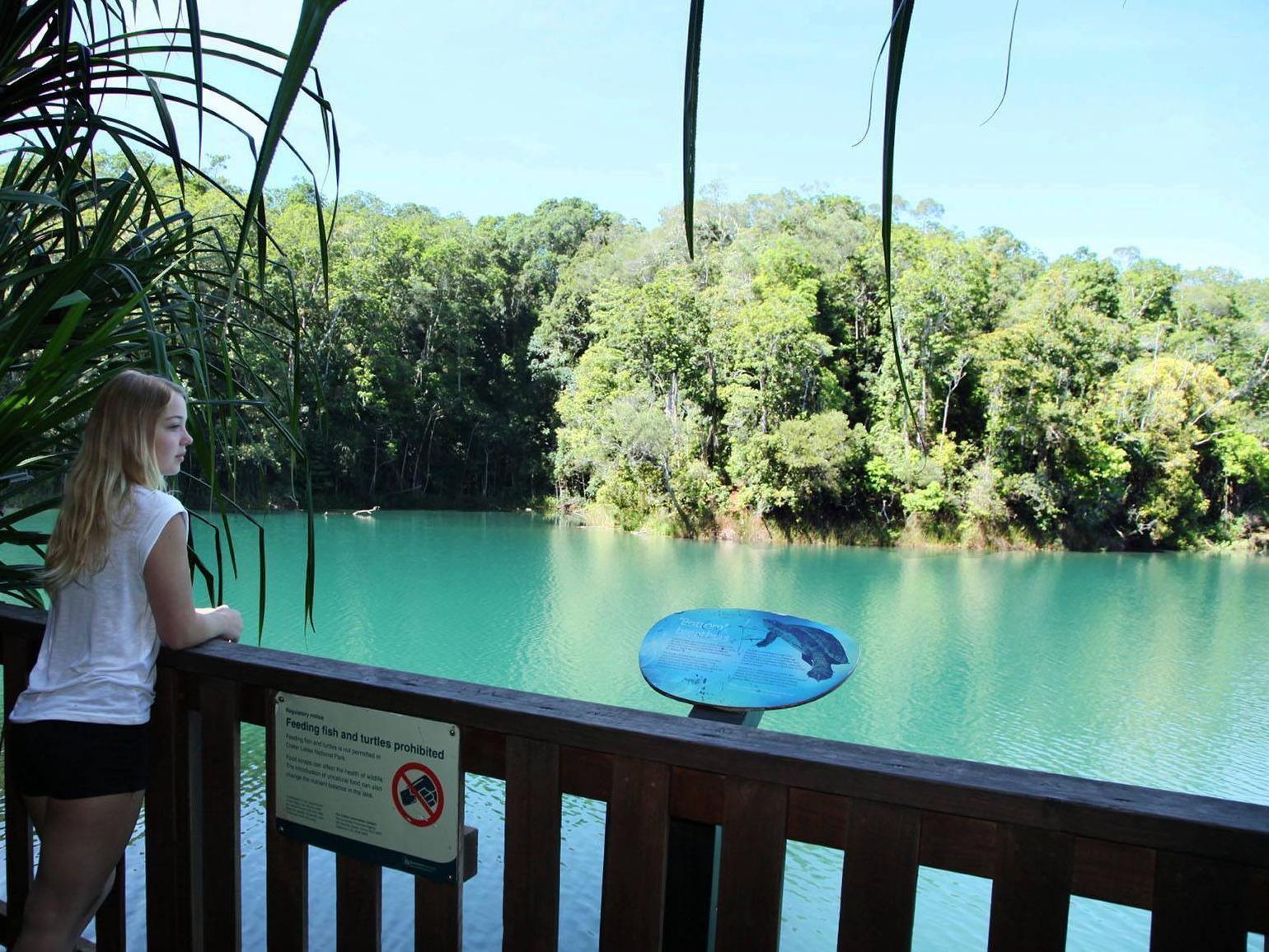 Chambers Wildlife Rainforest Lodges Lake Eacham Exterior photo